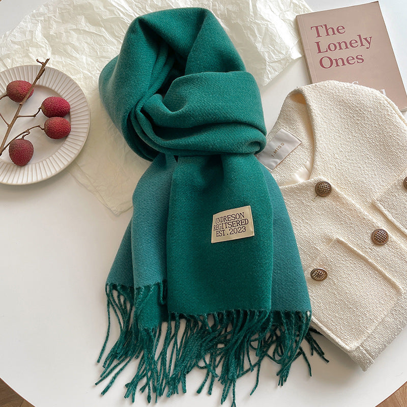 Women's Scarf Winter 2026 New Versatile Reversible Reversible Shawl Dual Purpose Pink Faux Cashmere Korean Style Premium